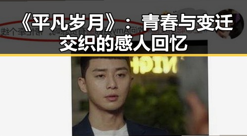 《平凡岁月》：青春与变迁交织的感人回忆